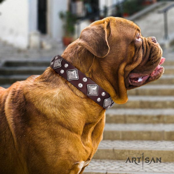 Dogue de Bordeaux unique natural genuine leather collar for everyday use