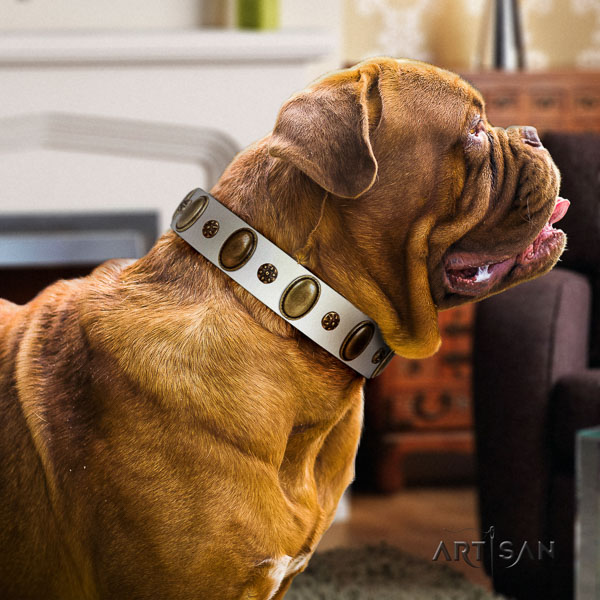 Dogue de Bordeaux everyday walking dog collar of stylish genuine leather
