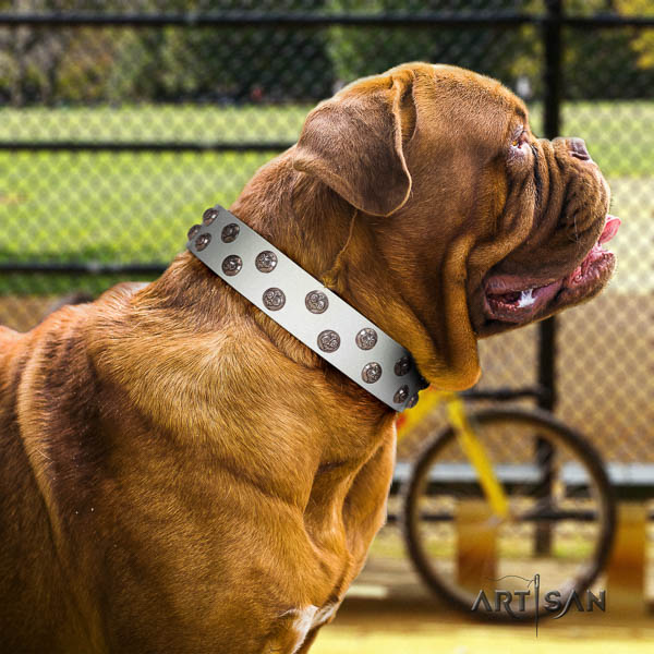 Dogue de Bordeaux dog collar of extraordinary quality genuine leather for walking