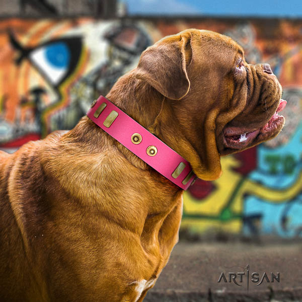 Dogue de Bordeaux everyday walking dog collar of designer leather