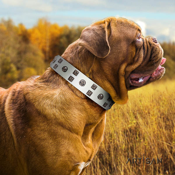 Dogue de Bordeaux significant natural genuine leather dog collar