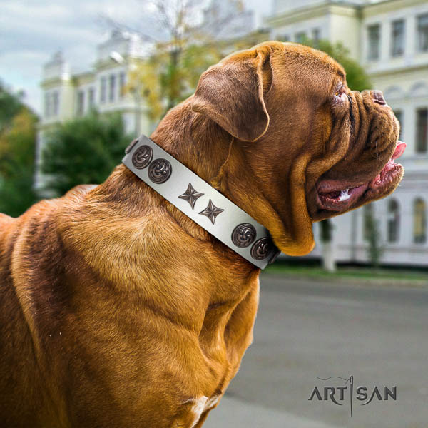 Dogue de Bordeaux comfortable full grain natural leather dog collar