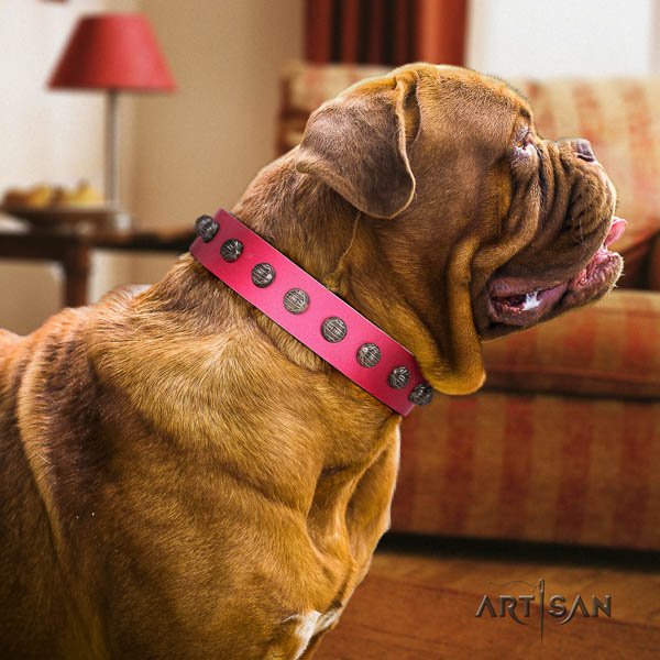 Dogue de Bordeaux fashionable full grain genuine leather dog collar