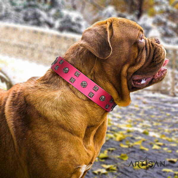 Dogue de Bordeaux comfortable full grain genuine leather dog collar