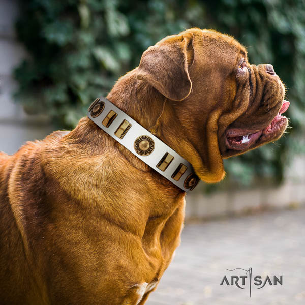 Dogue de Bordeaux everyday walking dog collar of comfortable natural leather