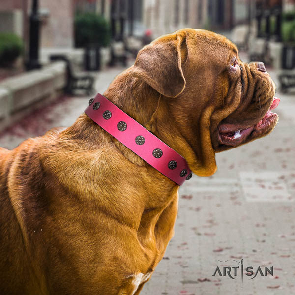 Dogue de Bordeaux stylish design full grain genuine leather dog collar