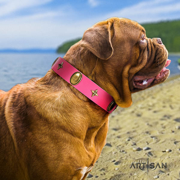 Dogue de Bordeaux walking dog collar of top notch quality genuine leather