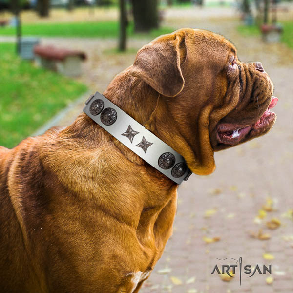 Dogue de Bordeaux awesome full grain leather dog collar