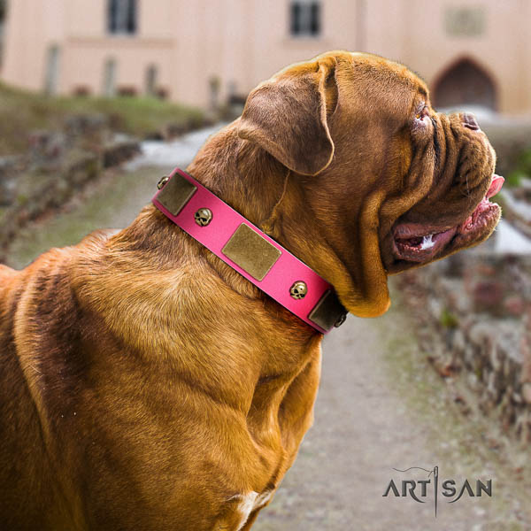 Dogue de Bordeaux fancy walking dog collar of flexible genuine leather