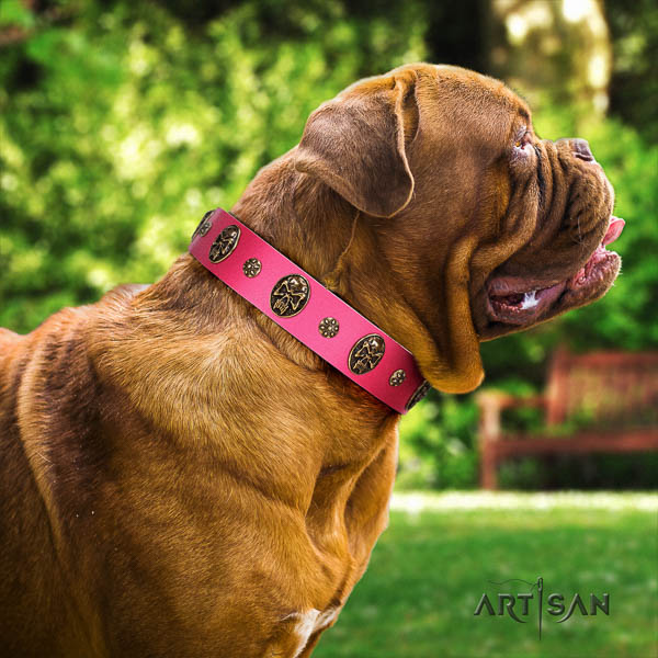 Dogue de Bordeaux everyday walking dog collar of comfortable leather