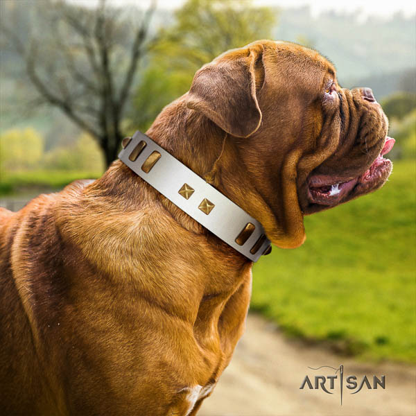 Dogue de Bordeaux easy wearing dog collar of significant quality leather
