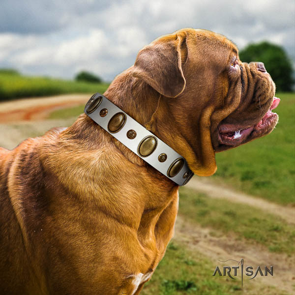 Dogue de Bordeaux fancy walking dog collar of fine quality leather