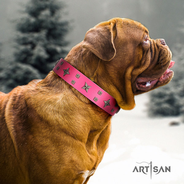 Dogue de Bordeaux unusual full grain genuine leather dog collar