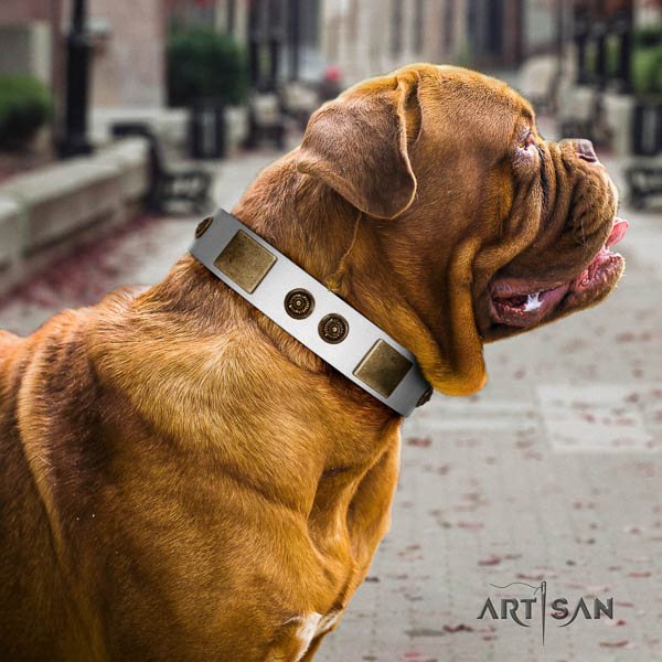 Dogue de Bordeaux walking dog collar of awesome quality natural leather