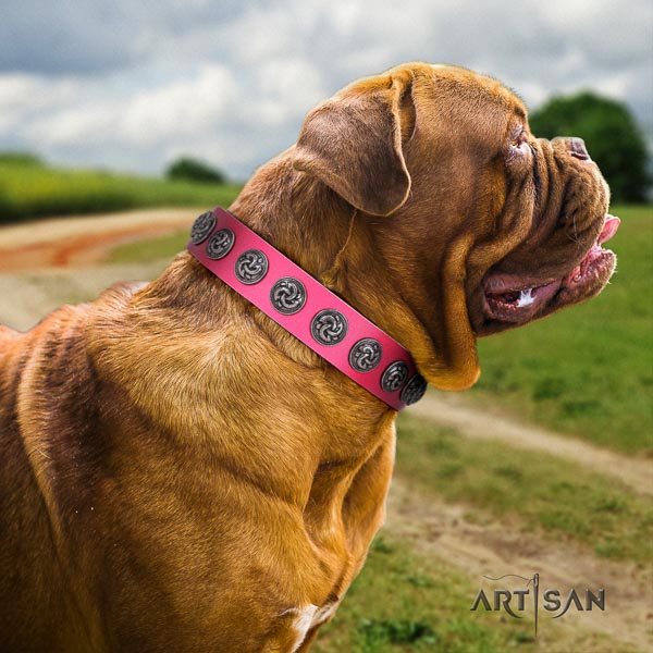 Dogue de Bordeaux exceptional genuine leather dog collar