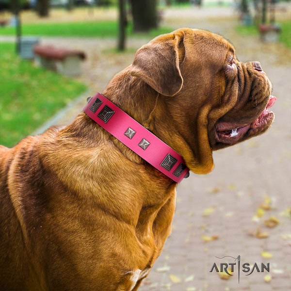 Dogue de Bordeaux dog collar of top quality leather for everyday walking