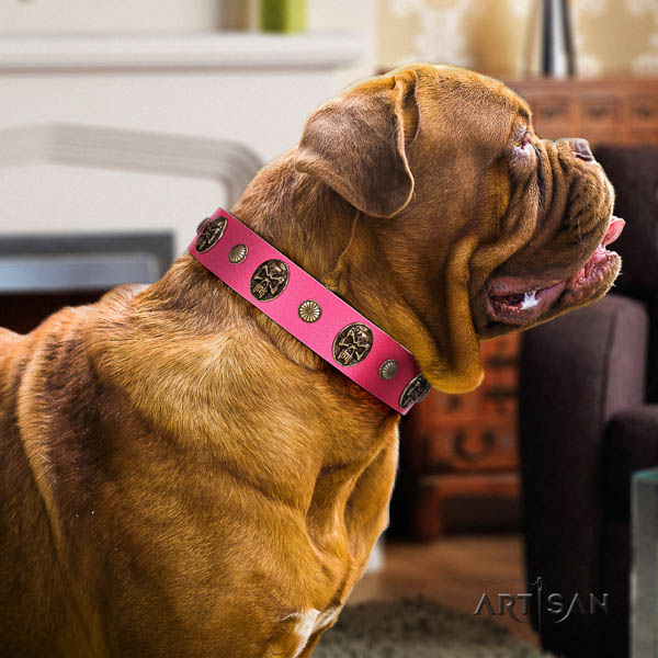 Dogue de Bordeaux everyday walking dog collar of awesome quality leather