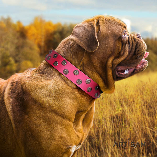 Dogue de Bordeaux dog collar of stylish natural leather for fancy walking