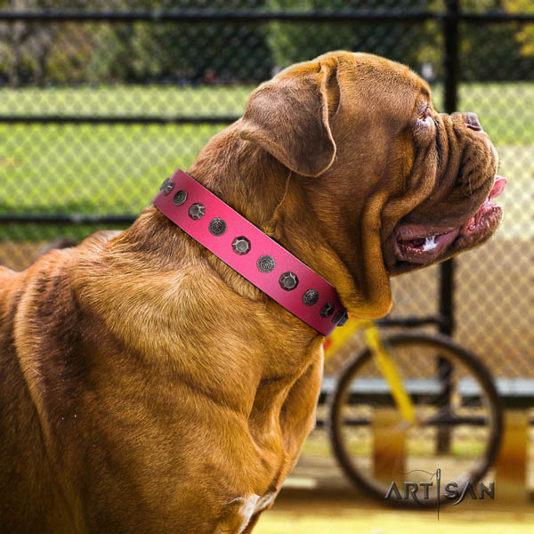 Dogue de Bordeaux inimitable natural genuine leather dog collar