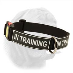 Extra Strong French Mastiff Collar for All Weathers