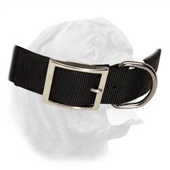 Water Resistant Strong Nylon DDB Collar