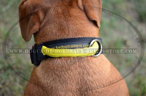 Everyday Nylon Collar with Handle and Quick Release Buckle for Dogue de Bordeaux