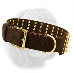 French Mastiff Spiked Dog Collar for Walking with Hardware Made of Brass Plated Metal