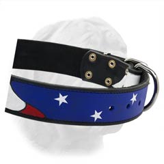 Extra Wide Dogue de Bordeaux Collar with  Stars and Stripes Painting