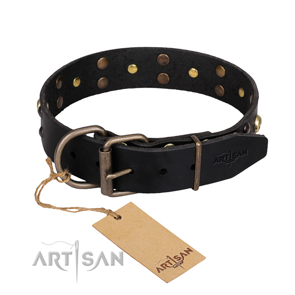 Casual leather dog collar with exciting adornments