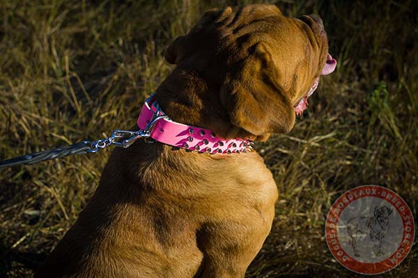 Pink Dogue de Bordeaux collar with riveted fittings