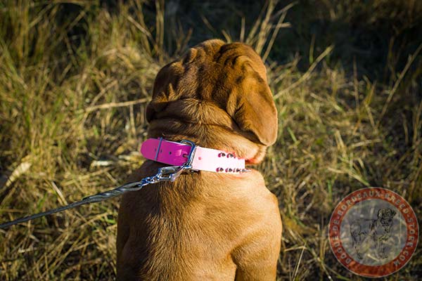 Pink Dogue de Bordeaux collar with reliable hardware