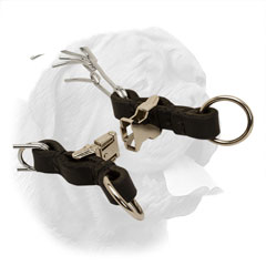 Extra strong buckle for the collar 