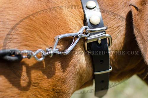 Durable Buckle on Studded Leather Dog Collar