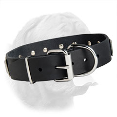 Steel Nickel Plated Buckle on Leather Dog Collar