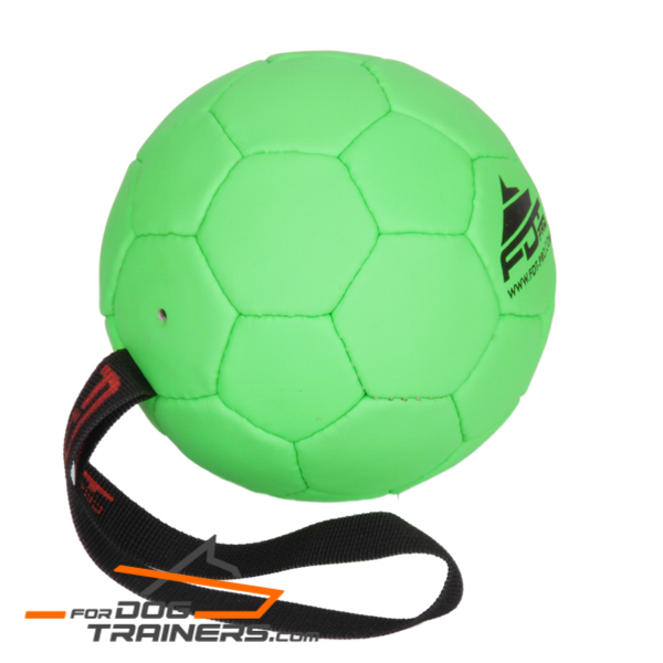 Amazing Dog Ball 
