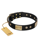 "Antique Gloss" FDT Artisan Black Leather Dogue de Bordeaux Collar with Bronze-like Plates and Small Studs