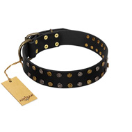 "Star Way" FDT Artisan Black Leather Dogue de Bordeaux Collar with Bronze-like and Silver-like Star Studs