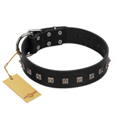 "Natural Beauty" Premium Quality FDT Artisan Black Designer Dogue de Bordeaux Collar with Dotted Studs