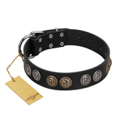 "Mister Exclusive" Designer FDT Artisan Black Leather Dogue de Bordeaux Collar with Medallions