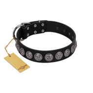 "Black Raven" Handmade FDT Artisan Black Leather Dogue de Bordeaux Collar with Silver-Like Adornments
