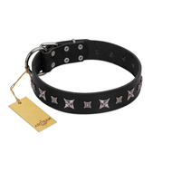 "Polar Lights" Designer FDT Artisan Black Leather Dogue de Bordeaux Collar with Silver-Like Studs