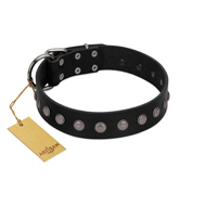 "Silver Flower" Exclusive FDT Artisan Black Leather Dogue de Bordeaux Collar with Silver-Like Studs