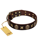 "Captain Hook" FDT Artisan Brown Leather Dogue de Bordeaux Collar with Stars and Skulls