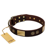 "Bow-Wow Effect" FDT Artisan Brown Leather Dogue de Bordeaux Collar with Plates and Ornate Studs  "Bow-Wow Effect" FDT Artisan Brown Leather Dogue de Bordeaux Collar with Plates and Ornate Studs