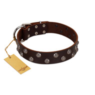 "Blossom Jewel" FDT Artisan Brown Leather Dogue de Bordeaux Collar with Two Rows of Silver-like Studs with Engraved Flowers
