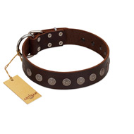"Starry-Eyed" Best Quality FDT Artisan Brown Designer Leather Dogue de Bordeaux Collar with Small Plates