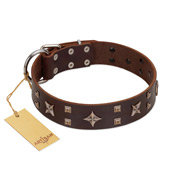 "Stars in Sands" Modern FDT Artisan Brown Leather Dogue de Bordeaux Collar with Studs and Stars