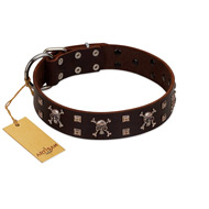 "Menacing Allure" FDT Artisan Brown Leather Dogue de Bordeaux Collar Embellished with Silvery Crossbones and Square Studs