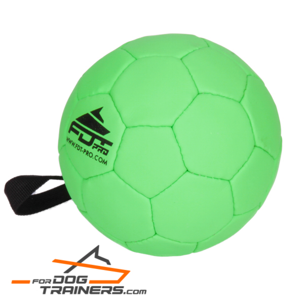 Dog Ball for training