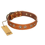 "Precious Relic" FDT Artisan Tan Leather Dogue de Bordeaux Collar Adorned with Old Bronze Look Studs  "Precious Relic" FDT Artisan Tan Leather Dogue de Bordeaux Collar Adorned with Old Bronze Look Studs